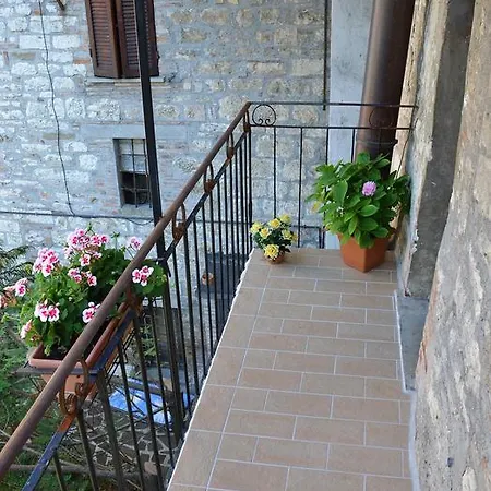Del Duca * Gubbio