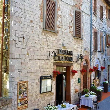 Del Duca